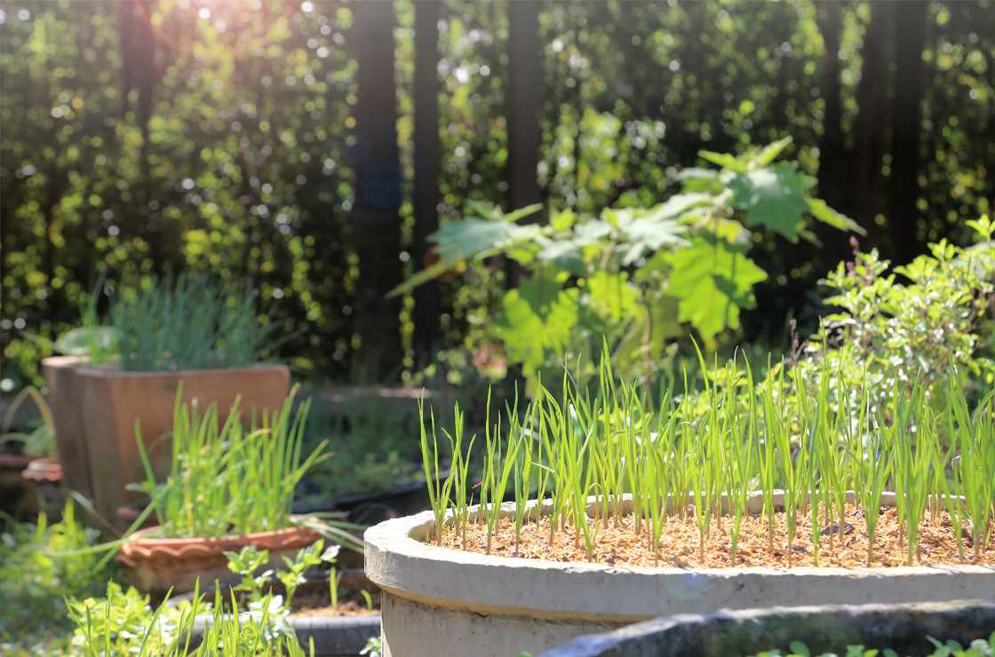 FC-permaculture-2